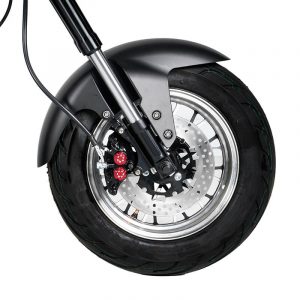 2 wheel citycoco electric scooter for adults m1p