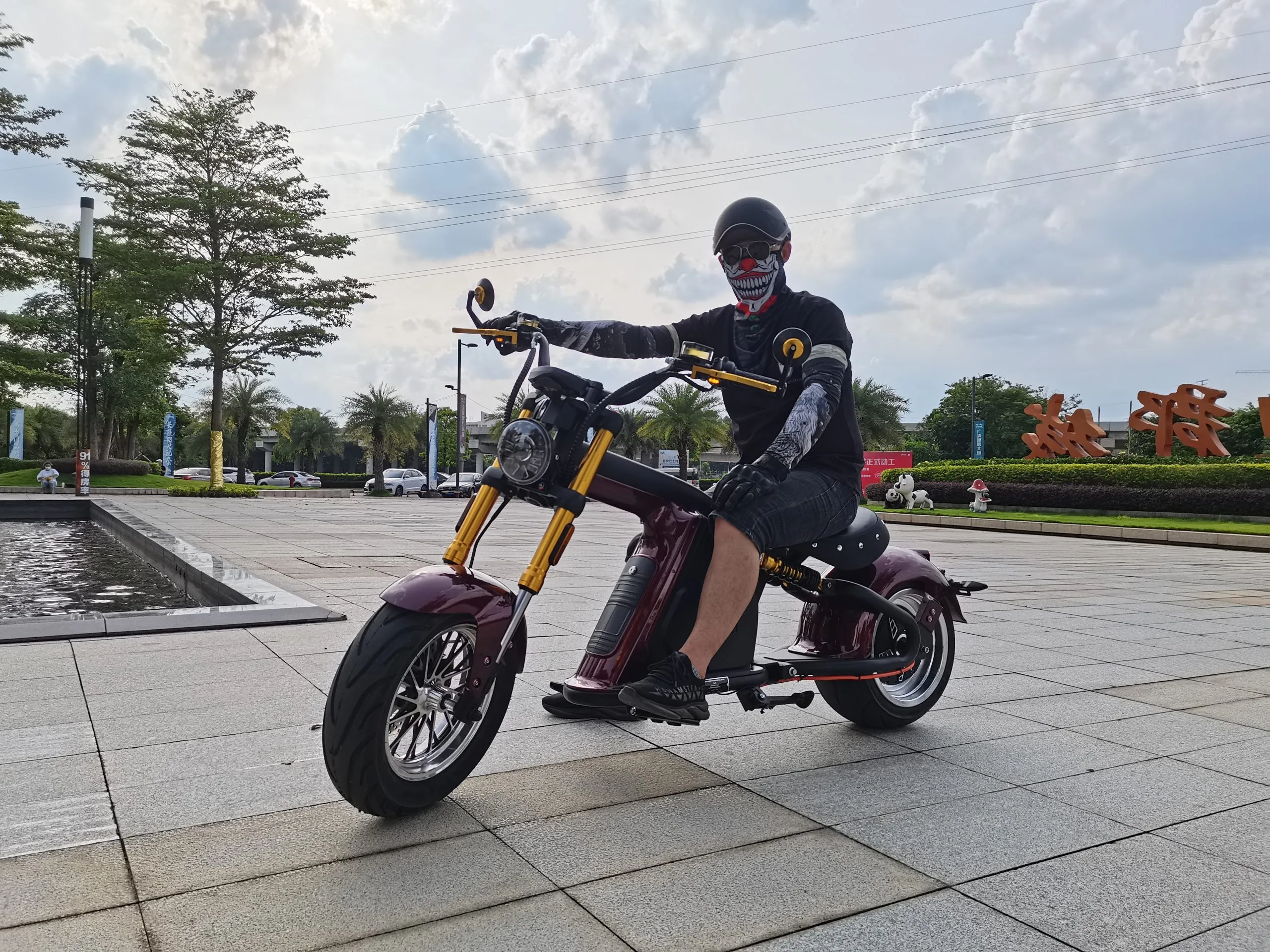 4000w citycoco electric motorcycle M8S