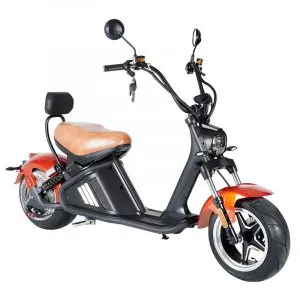 citycoco motor m2