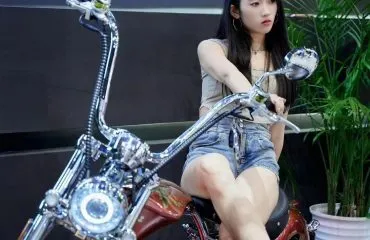 citycoco 3000w electric scooter