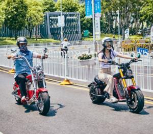 citycoco electric motorcycle
