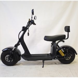 citycoco fat tire electric scooter H8