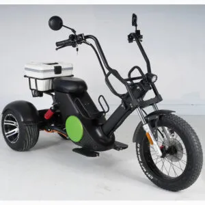 M6G Citycoco 3 Wheel Electric Scooter