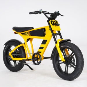 student ebike