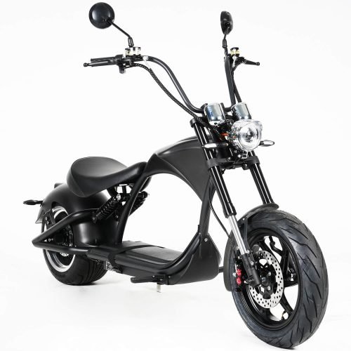 14 Inch Front Tire Electric Scooter M1P