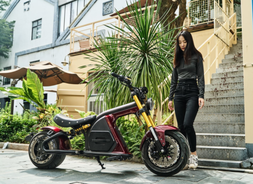 citycoco fat tire electric scooter
