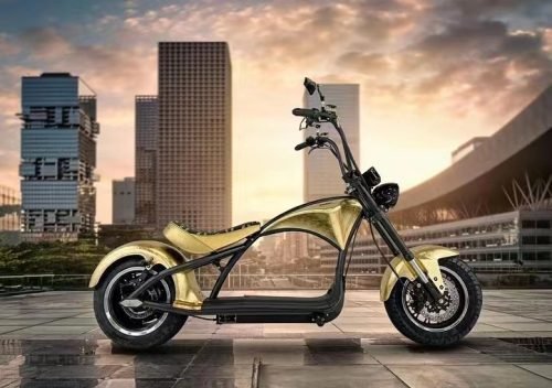 citycoco electric motorcycle
