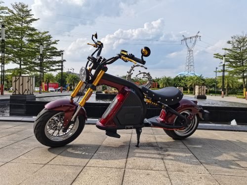 M8s citycoco 2000w electric scooter big wheel