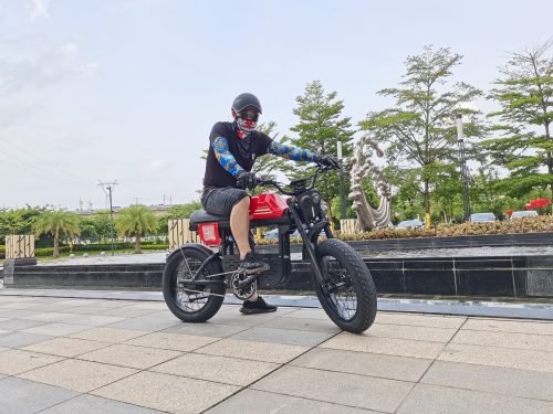 FT1 electric scooter with seat