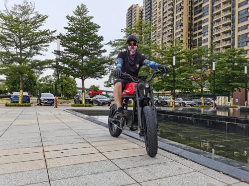 FT1 folding electric bicycle