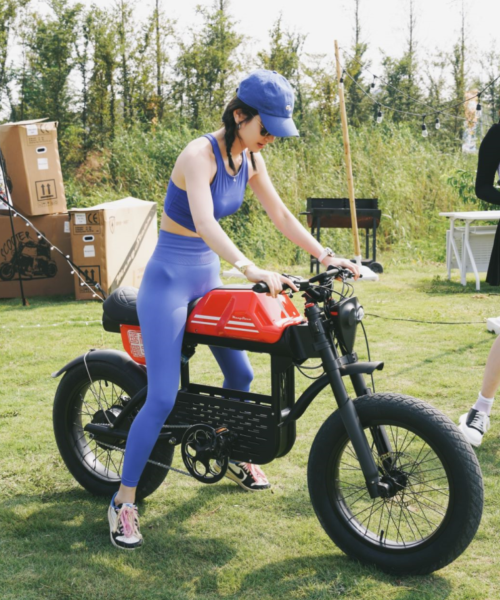 Mangosteen Electirc Bike Mangosteen Fat Tire Bike