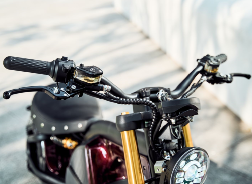 citycoco electric motorcycle